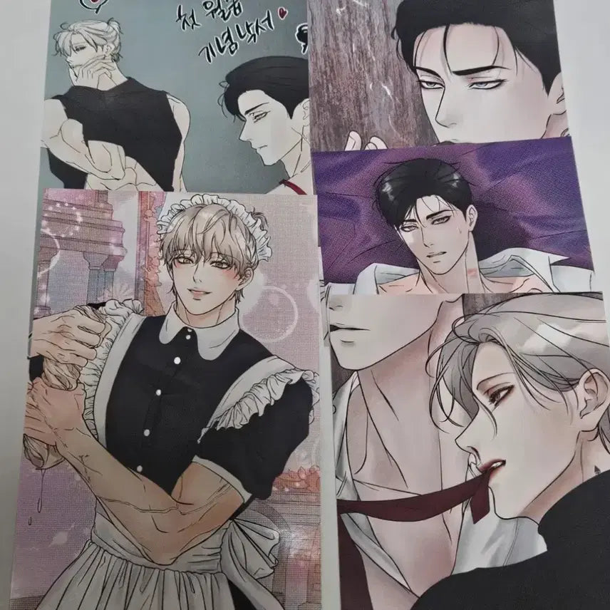 [BUNJANG] Splintered Illusions Proof Photo Bundle Set / 미혹의 경계 프박 양도