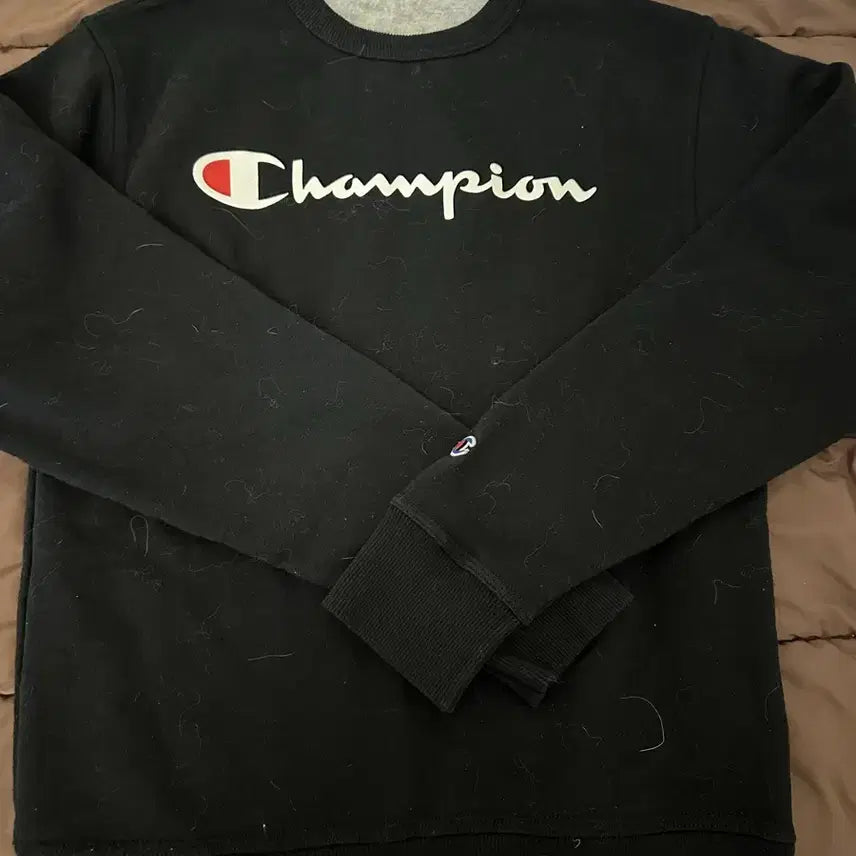 [BUNJANG] Champion Black Big Logo Sweatshirt / 챔피온 블랙 맨투맨