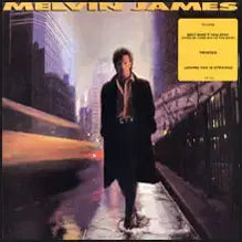 [BUNJANG] Melvin James Jacket EX+ Vinyl Record / Melvin James