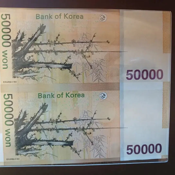 [BUNJANG] Bank of Korea 50,000 Won Connected Banknote AA9026693A / 한국은행 5만원 연결권 AA9026693A