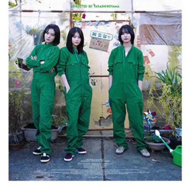 [BUNJANG] ALL GREENS Vinyl House Poster Unsealed / 올 그린스 비닐하우스 포스터 미개봉