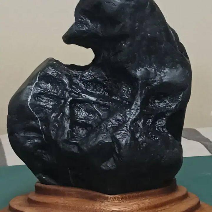 [BUNJANG] Water-Form Stone Sculpture (Eagle) / 수석(물형석)