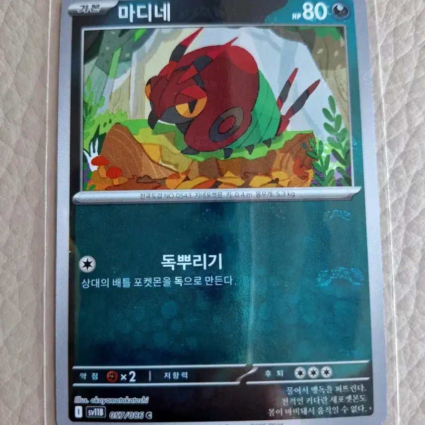 [BUNJANG] Pokemon Card Madine Masterball / 포켓몬 카드 마디네 마스터블