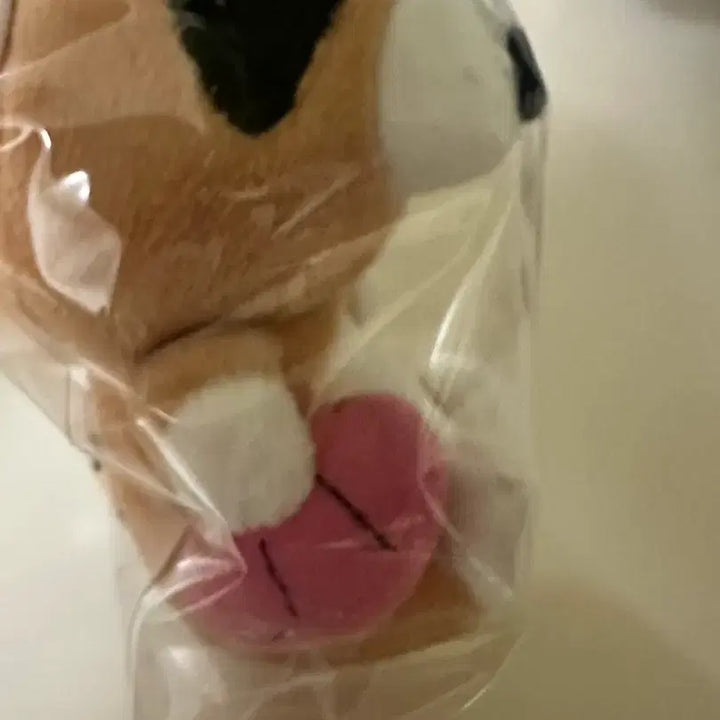 [BUNJANG] Bonobono Nuburi Keyring / 보노보노 너부리 키링