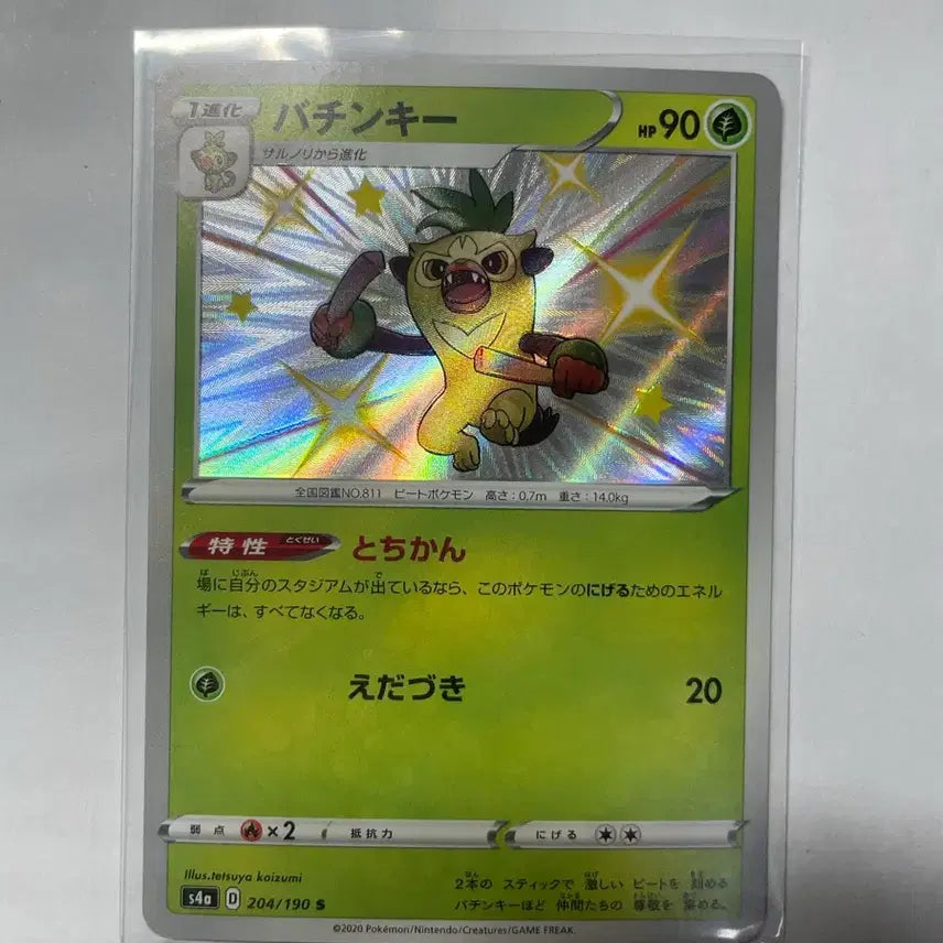 [BUNJANG] Pokemon Card Shiny Chikorita S4a Japanese Version / 포켓몬카드 S4a 채키몽 이로치 일판