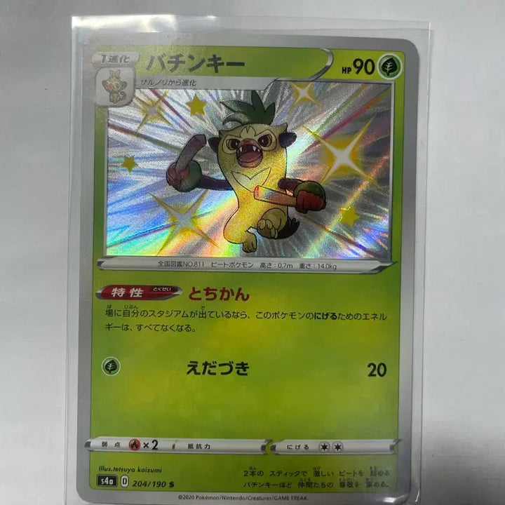 [BUNJANG] Pokemon Card Shiny Chikorita S4a Japanese Version / 포켓몬카드 S4a 채키몽 이로치 일판