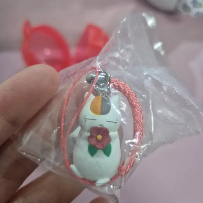 [BUNJANG] Natsume&