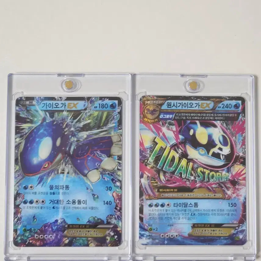 [BUNJANG] Groudon EX Set / 가이오가 ex 세트 (네고 가능)