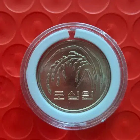 [BUNJANG] 1984 50 Won Coin / 1984년 50원 주화