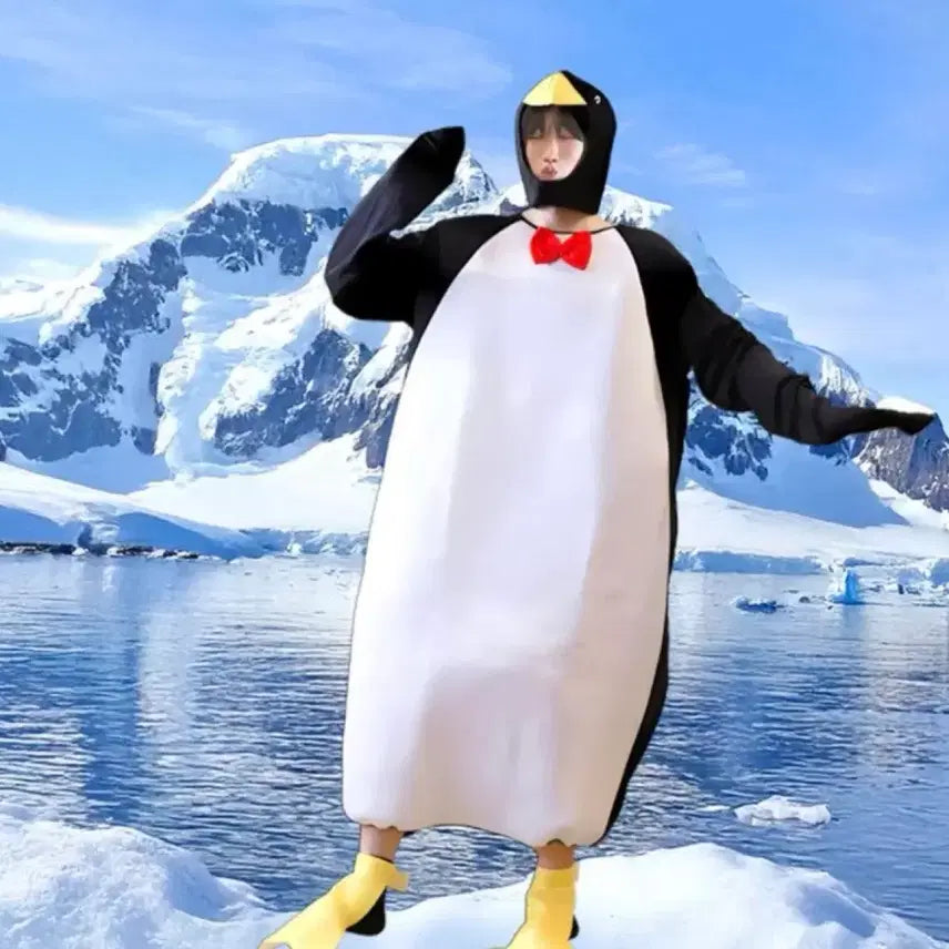 [BUNJANG] Penguin Graduation Photo Concept Costume Set / 펭귄 졸사 컨셉