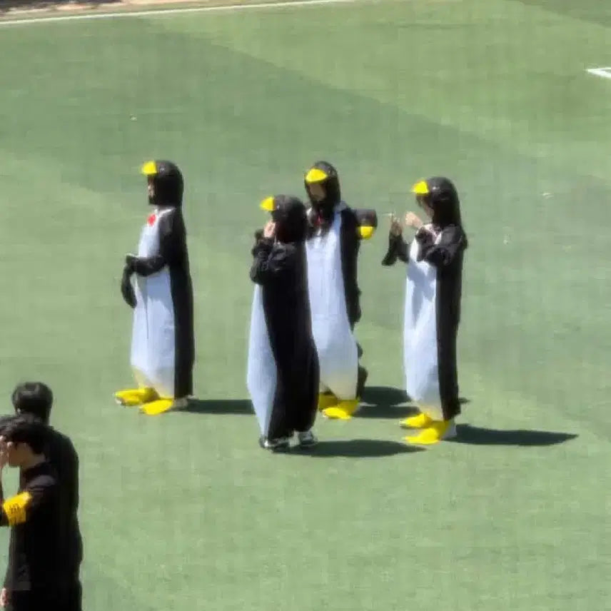 [BUNJANG] Penguin Graduation Photo Concept Costume Set / 펭귄 졸사 컨셉