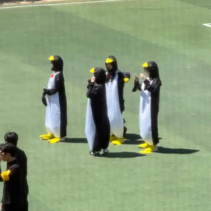 [BUNJANG] Penguin Graduation Photo Concept Costume Set / 펭귄 졸사 컨셉