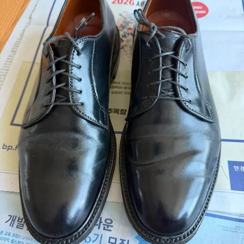 [SOLD OUT] 알든(alden) 9901 10e