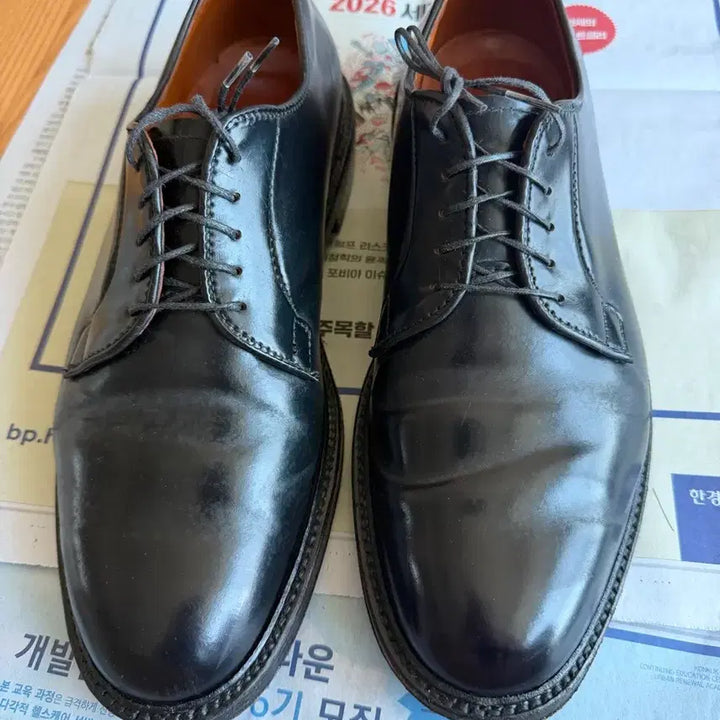 [SOLD OUT] 알든(alden) 9901 10e