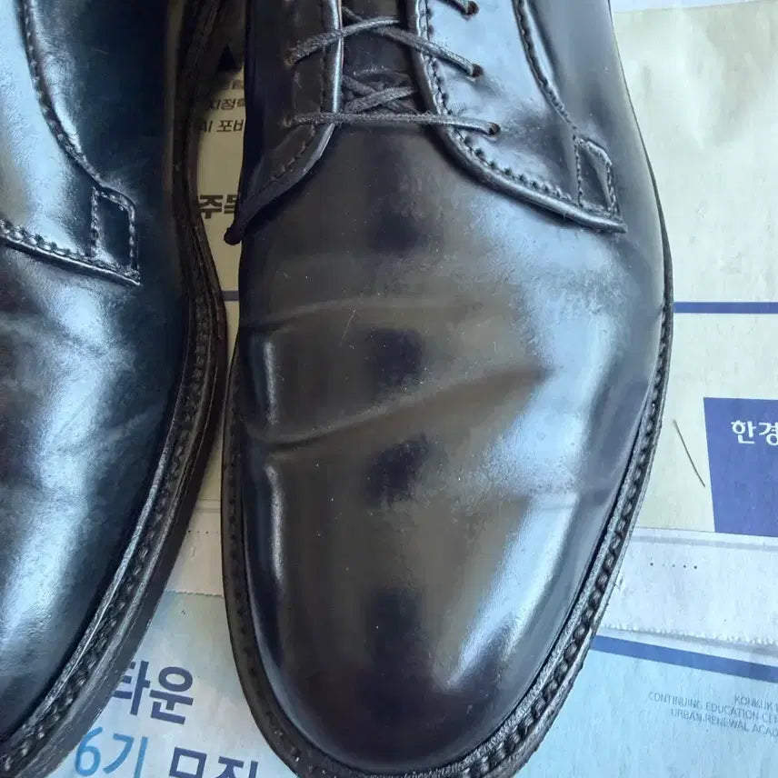 [SOLD OUT] 알든(alden) 9901 10e