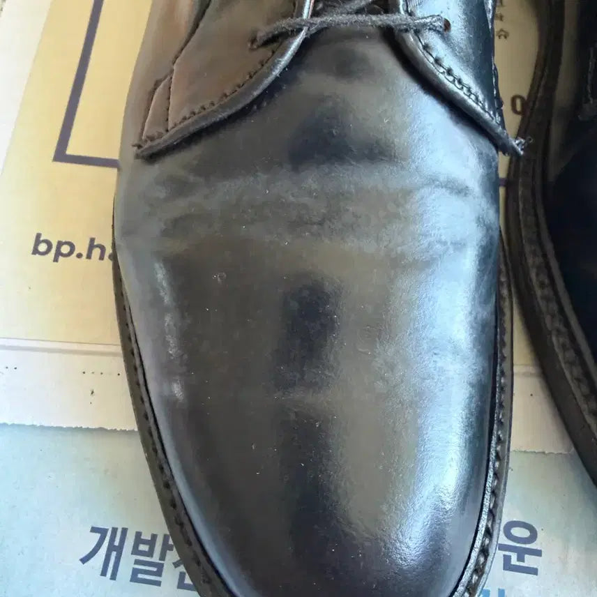 [SOLD OUT] 알든(alden) 9901 10e