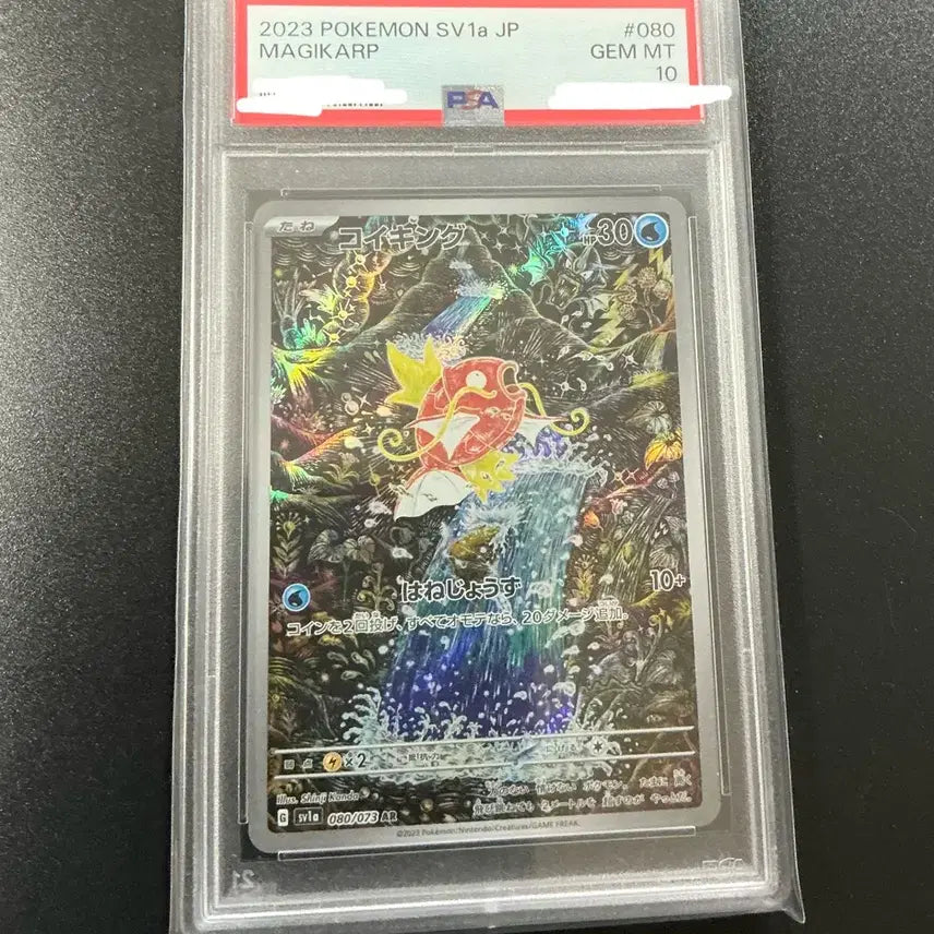 [BUNJANG] Pokemon Card Magikarp PSA 10 Japanese / 포켓몬 카드 잉어킹 PSA 10 일판