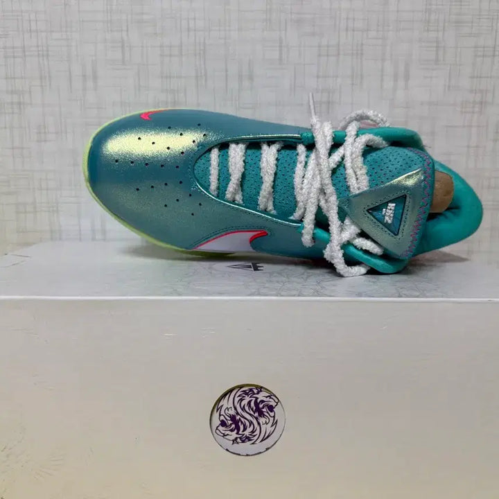 [BUNJANG] Nike LeBron XXII EP Solar Red/Dusty Cactus (275mm) / 나이키 르브론 XXII 275mm 솔라레드/더스티 카투스