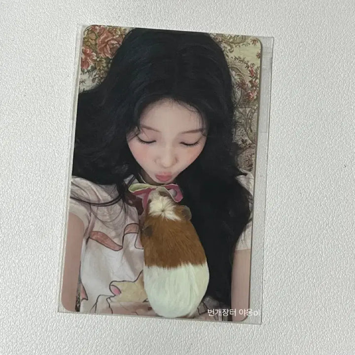 [BUNJANG] ILLIT &