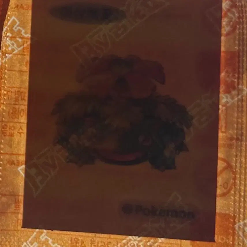 [BUNJANG] Pokemon 30th Anniversary 1st Edition Bulbasaur Sticker / 포켓몬 30주년 1세대 초판 띠부씰 이상해꽃