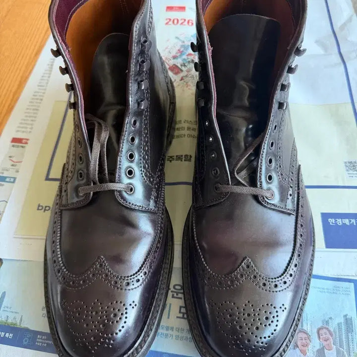 [BUNJANG] Alden 4461H Wingtip Boots (Barrie Last, Size 10E) / 알든(alden) 4461H 10e Barrie라스트