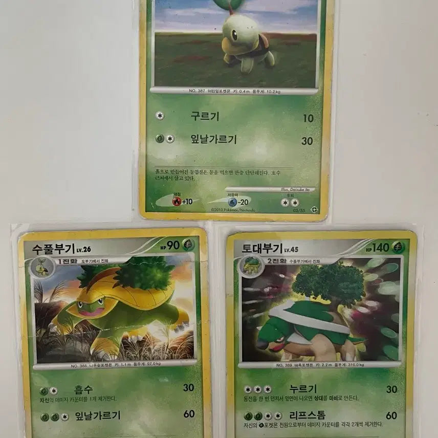 [BUNJANG] Pokemon Card DP - Grotle, Torterra / 포켓몬카드 dp 모부기 수풀부기 토대부기