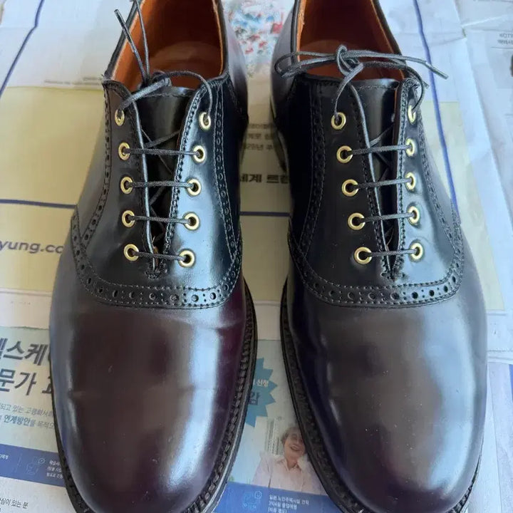 [BUNJANG] Alden D5301 Barrie Last Saddle Shoes Color 8 &amp; Black Shell Cordovan / 알든(alden) D5301 10e Barrie라스트 새들슈즈