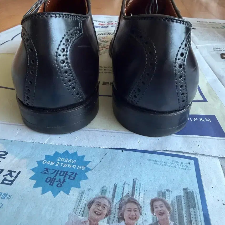 [BUNJANG] Alden D5301 Barrie Last Saddle Shoes Color 8 &amp; Black Shell Cordovan / 알든(alden) D5301 10e Barrie라스트 새들슈즈