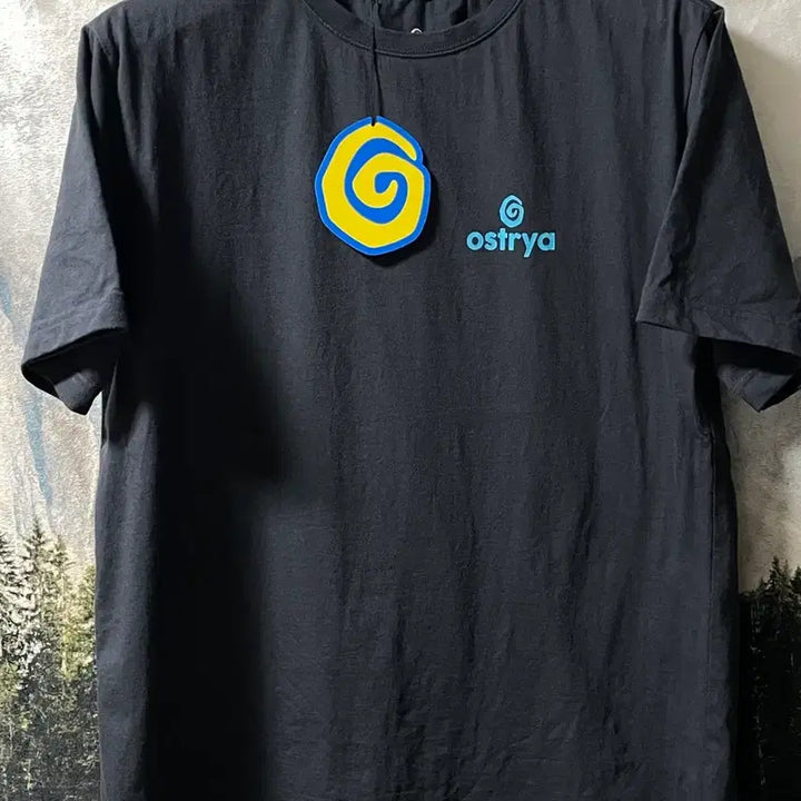 [SOLD OUT] L) ostrya 오스트리야 차콜 반팔 티셔츠