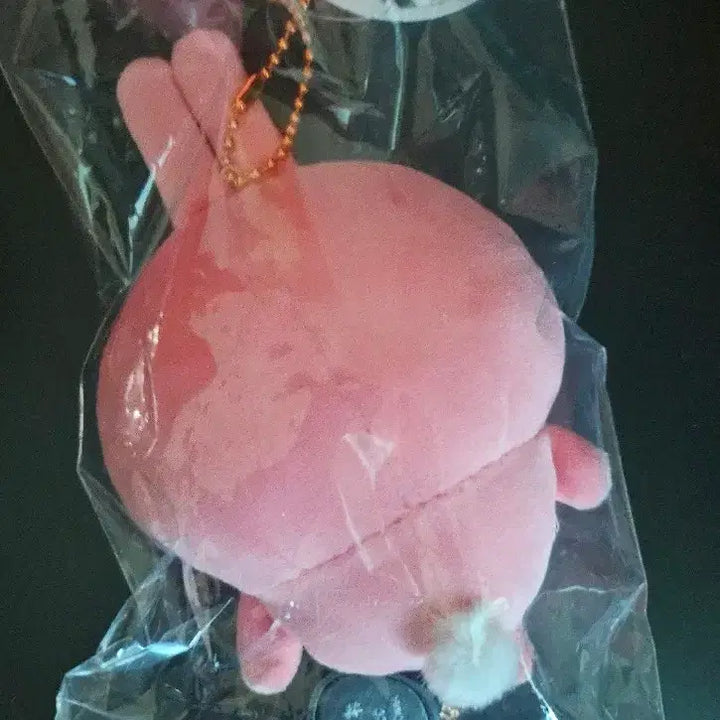[SOLD OUT] 치이카와 우사기 매운 카레 마스코트 인형 키링