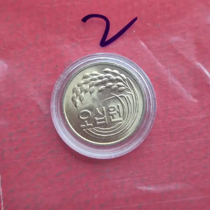 [BUNJANG] 1981 50 Won Unused Coin / 1981년 50원 미사용 주화  -2-