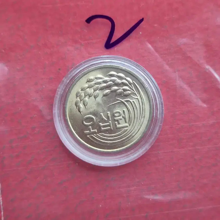 [BUNJANG] 1981 50 Won Unused Coin / 1981년 50원 미사용 주화  -2-