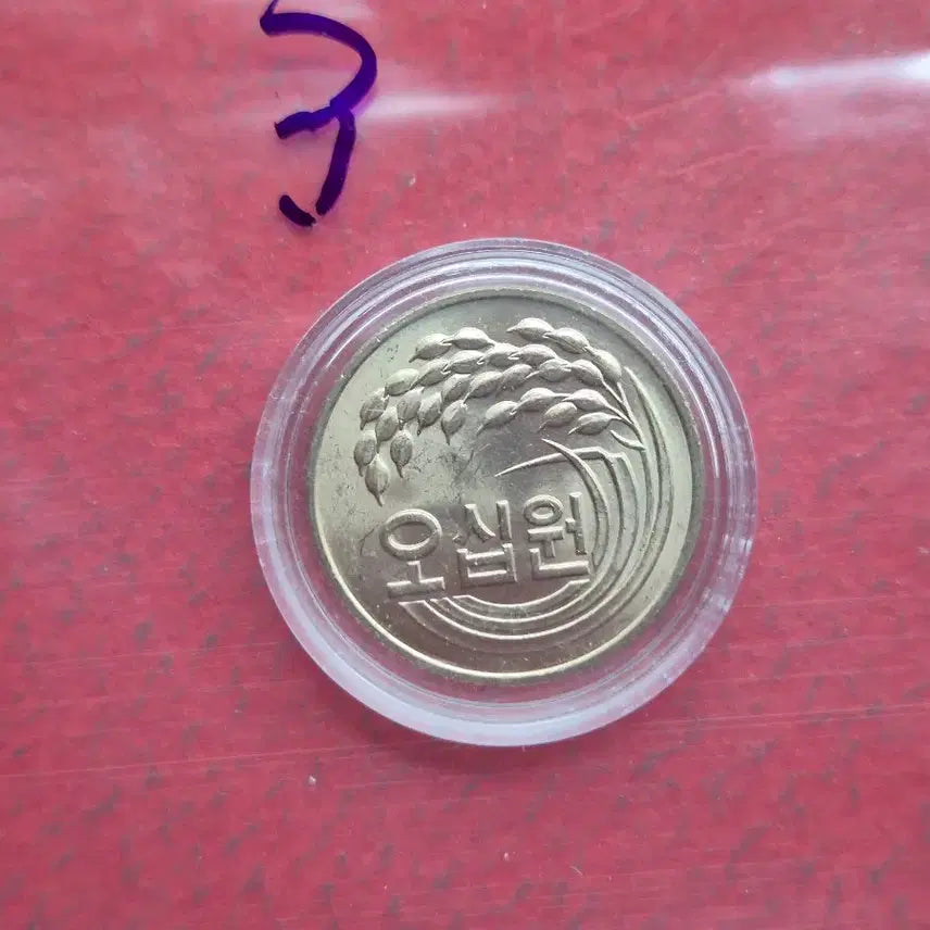 [BUNJANG] 1981 50 Won Uncirculated Coin / 1981년 50원 미사용 주화  -3-
