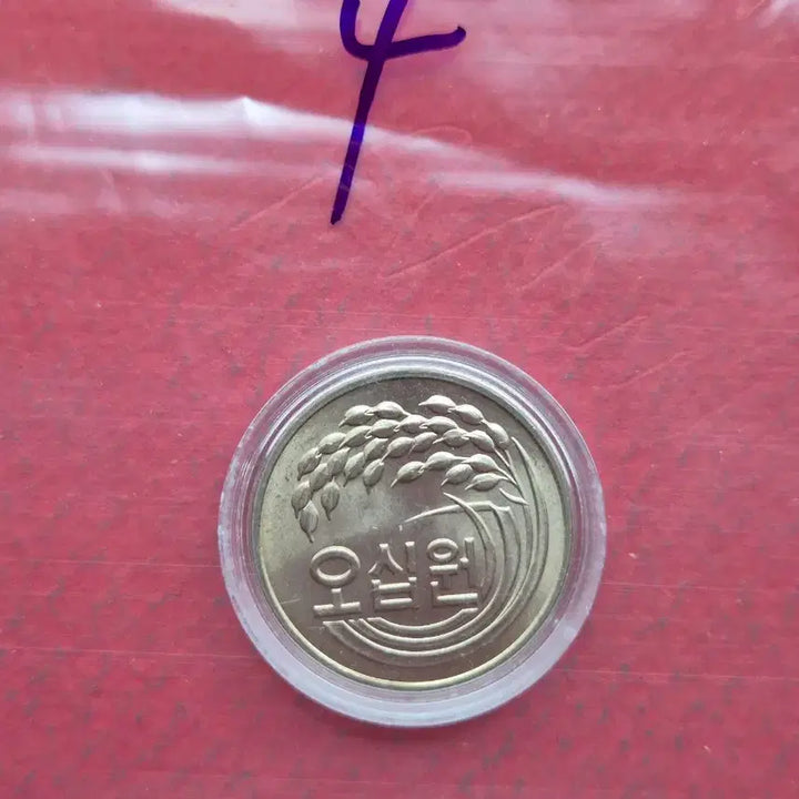 [BUNJANG] 1981 50 Won Uncirculated Coin / 1981년 50원 미사용 주화  -4-