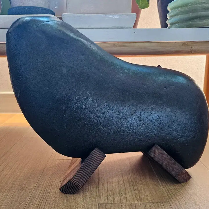 [BUNJANG] Rare Seal-Shaped Natural Stone / 물개석