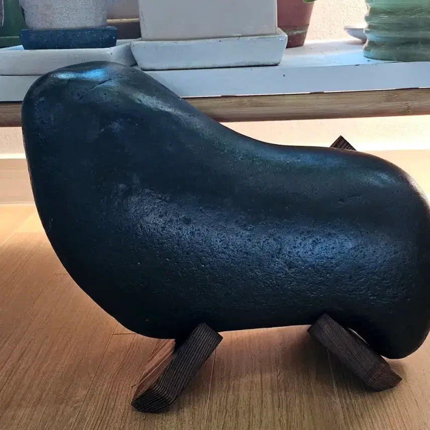 [BUNJANG] Rare Seal-Shaped Natural Stone / 물개석