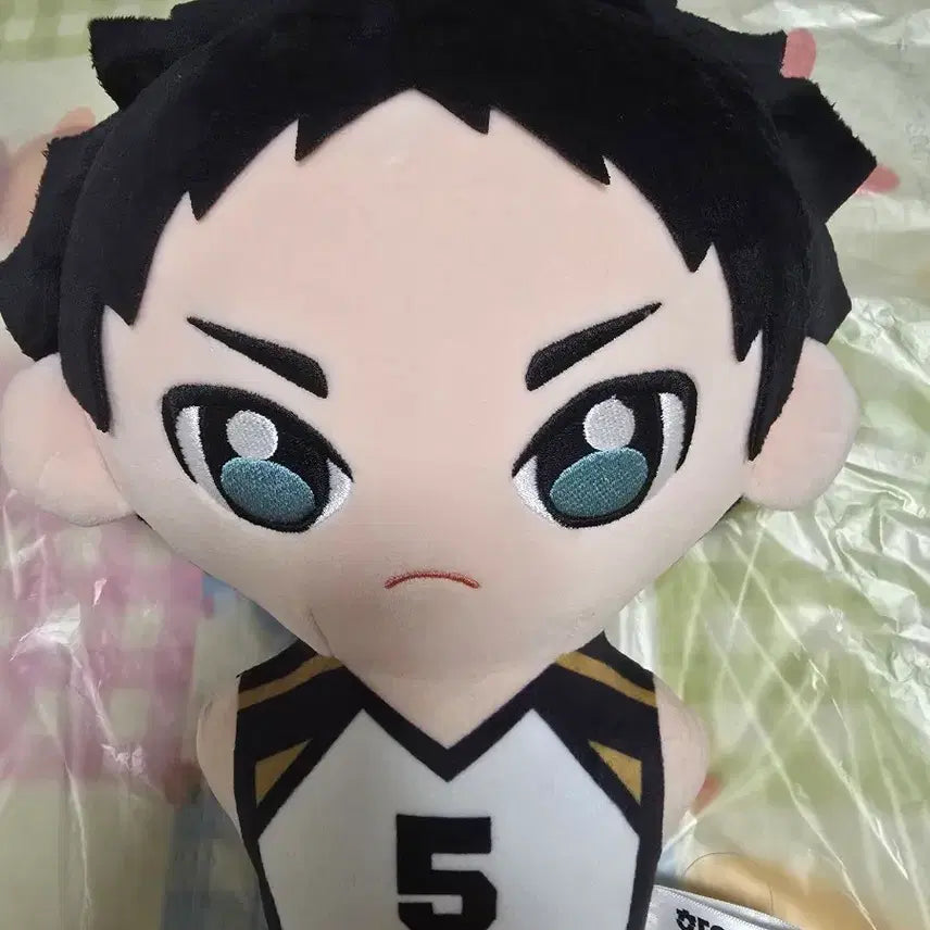 [BUNJANG] Haikyuu!! Fukuradani Akaashi Big Plush / 하이큐 빅누이 후쿠로다니 아카아시
