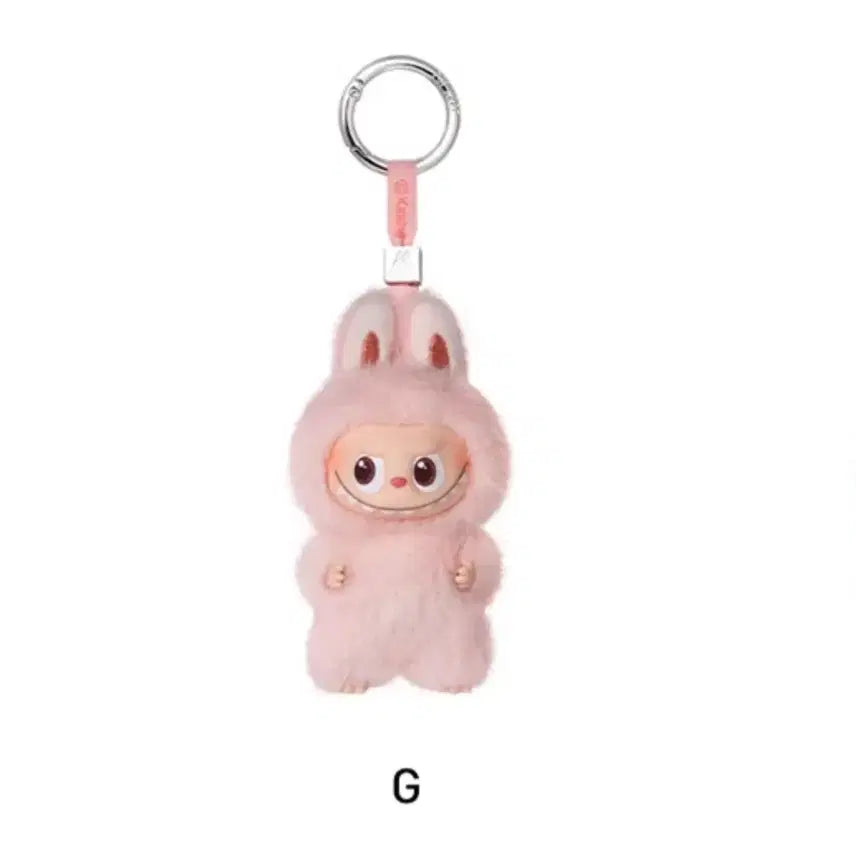 [BUNJANG] Pop Mart Labubu "Secret Password in My Heart" Series Figure / 팝마트 정품) 미니 라부부 - G