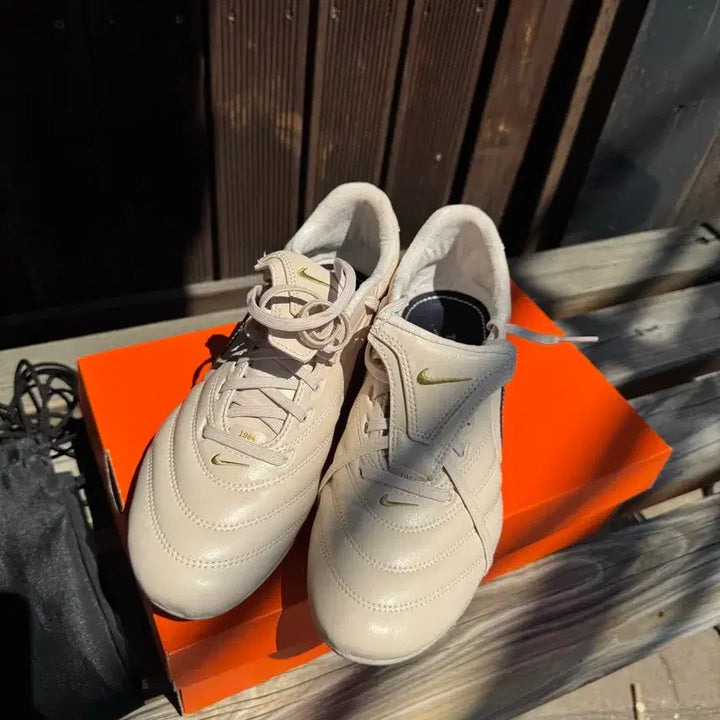 [BUNJANG] Nike Tiempo Legend Elite FG Limited Edition FG Soccer Cleats / 나이키 티엠포 리게라 한정판[275]