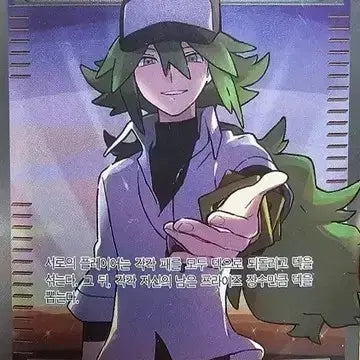 [BUNJANG] Pokemon Card N Trainer Card / 포켓몬 카드 N 트레이너