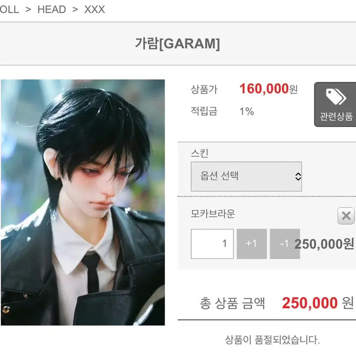 [BUNJANG] Switch Garam Mocha Brown Ball Jointed Doll / 스위치 가람 모카브라운 구관 구체관절인형