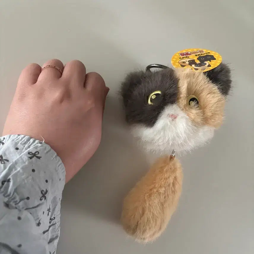 [BUNJANG] Liar Cats Tricolor Cat Keyring Doll / (새상품/미사용) 라이어캣츠 삼색 고양이 키링 인형 팝니다.
