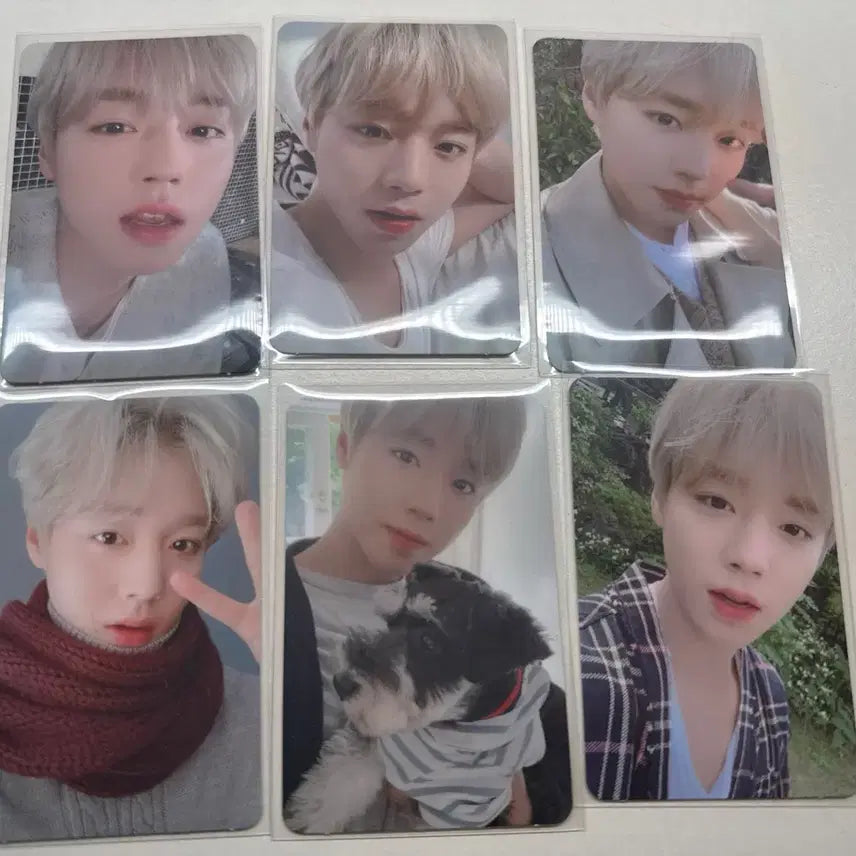 [BUNJANG] Park Ji Hoon 2020 Season&