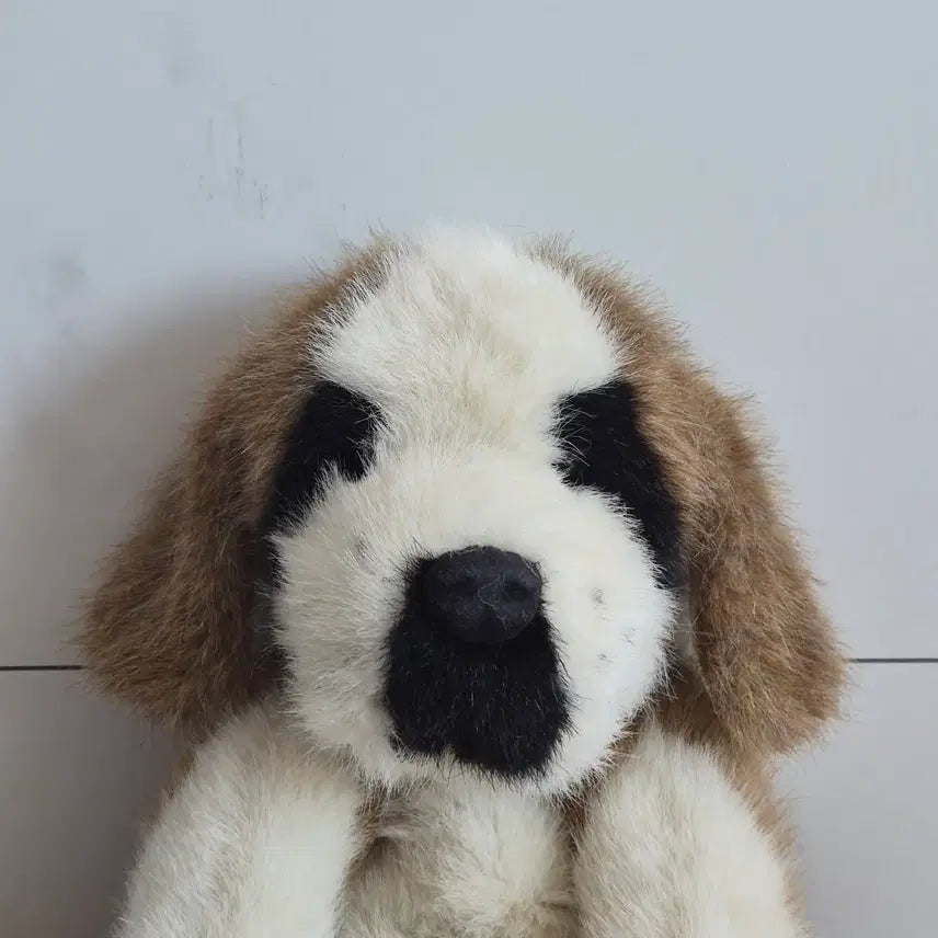 [SOLD OUT] 보이즈베어강아지 빈티지인형 강아지인형 짜장이 보베 보베짜장이