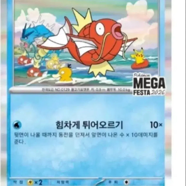 [BUNJANG] Pokemon Magikarp Promo Card MEGA FESTA Limited Edition Set of 7 / 포켓몬 카드 잉어킹 프로모 카드 MEGA FESTA 한정판 7장 판매!!