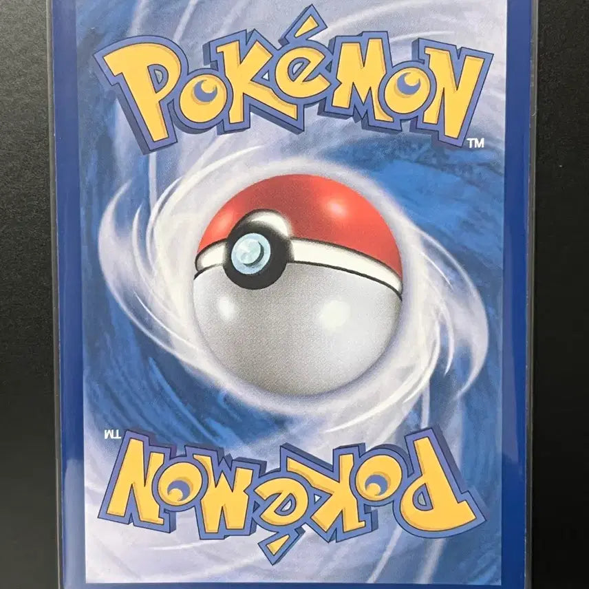 [BUNJANG] Blaziken AR (Team Rocket&