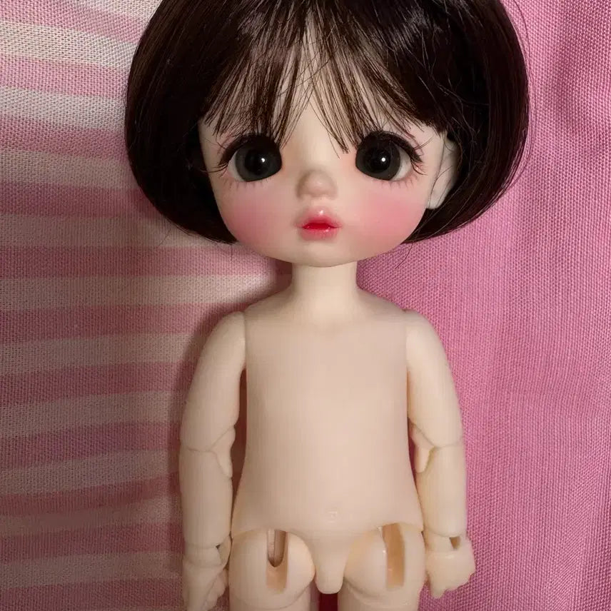 [BUNJANG] Titiya Pocket Jeje Ball-Jointed Doll Complete Set / 구관 구체관절인형 티티야 포켓 제제 모든물품포함