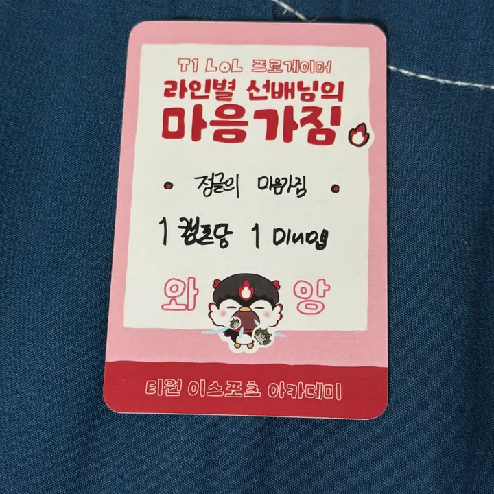 [BUNJANG] T1 Oner Academy Home Ground Photocard / 티원 오너 포토카드 포카 홈그라운드 아카데미 t1 oner
