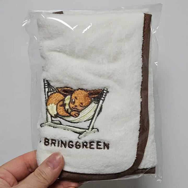 [BUNJANG] Pokemon Eevee Hand Towel (Sealed) / [미개봉]포켓몬스터 이브이 핸드 타월