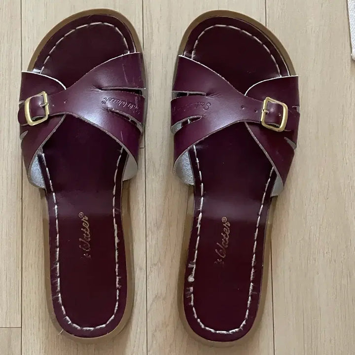 [BUNJANG] Saltwater Buckle Slides Burgundy (230-235) / 솔트워터 슬리퍼(230-235)